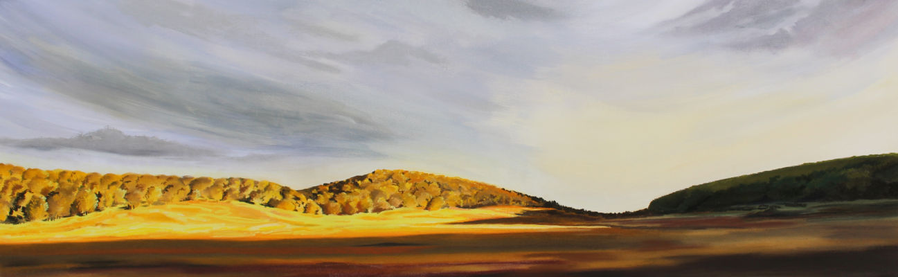 H : 41 cm / L : 116 cm