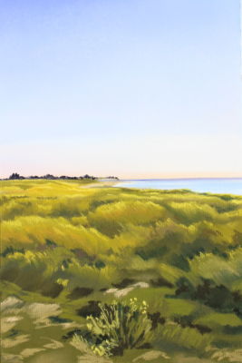 H : 35 cm / L : 23 cm